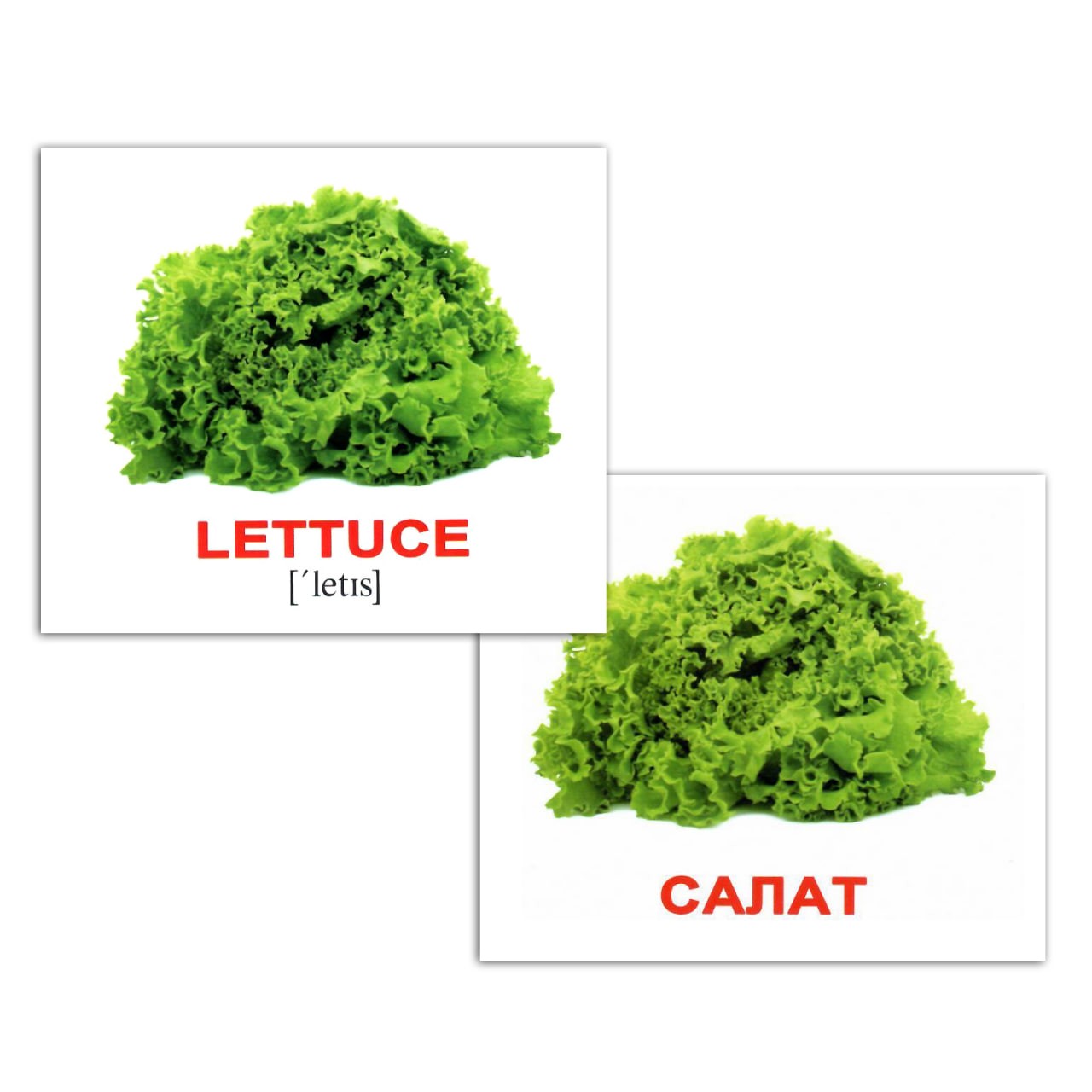 Карточки мини русско-английские "Овощи/Vegetables" 40 карт., в пак. 8*10см, ТМ Вундеркинд с пеленок, Украина