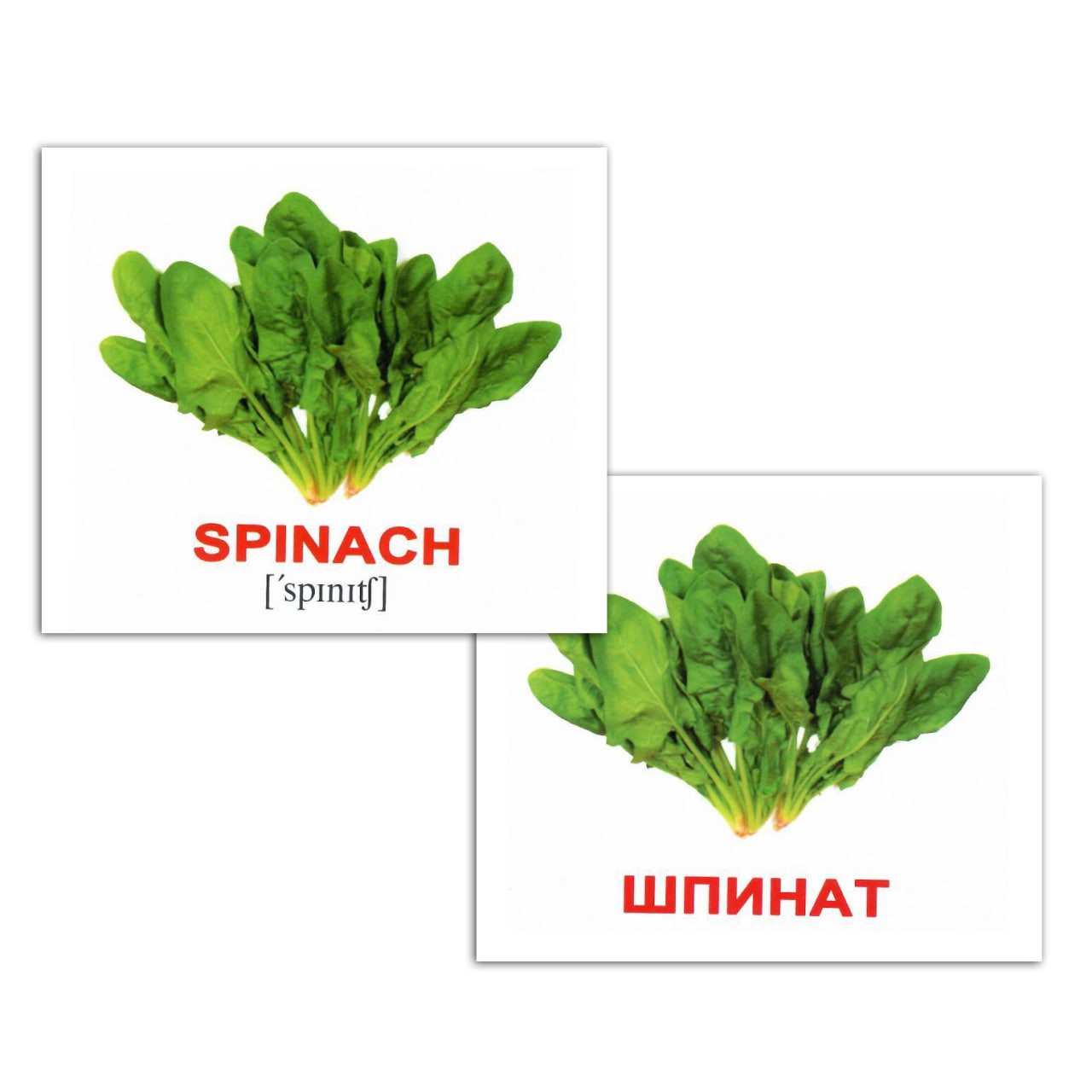 Карточки мини русско-английские "Овощи/Vegetables" 40 карт., в пак. 8*10см, ТМ Вундеркинд с пеленок, Украина