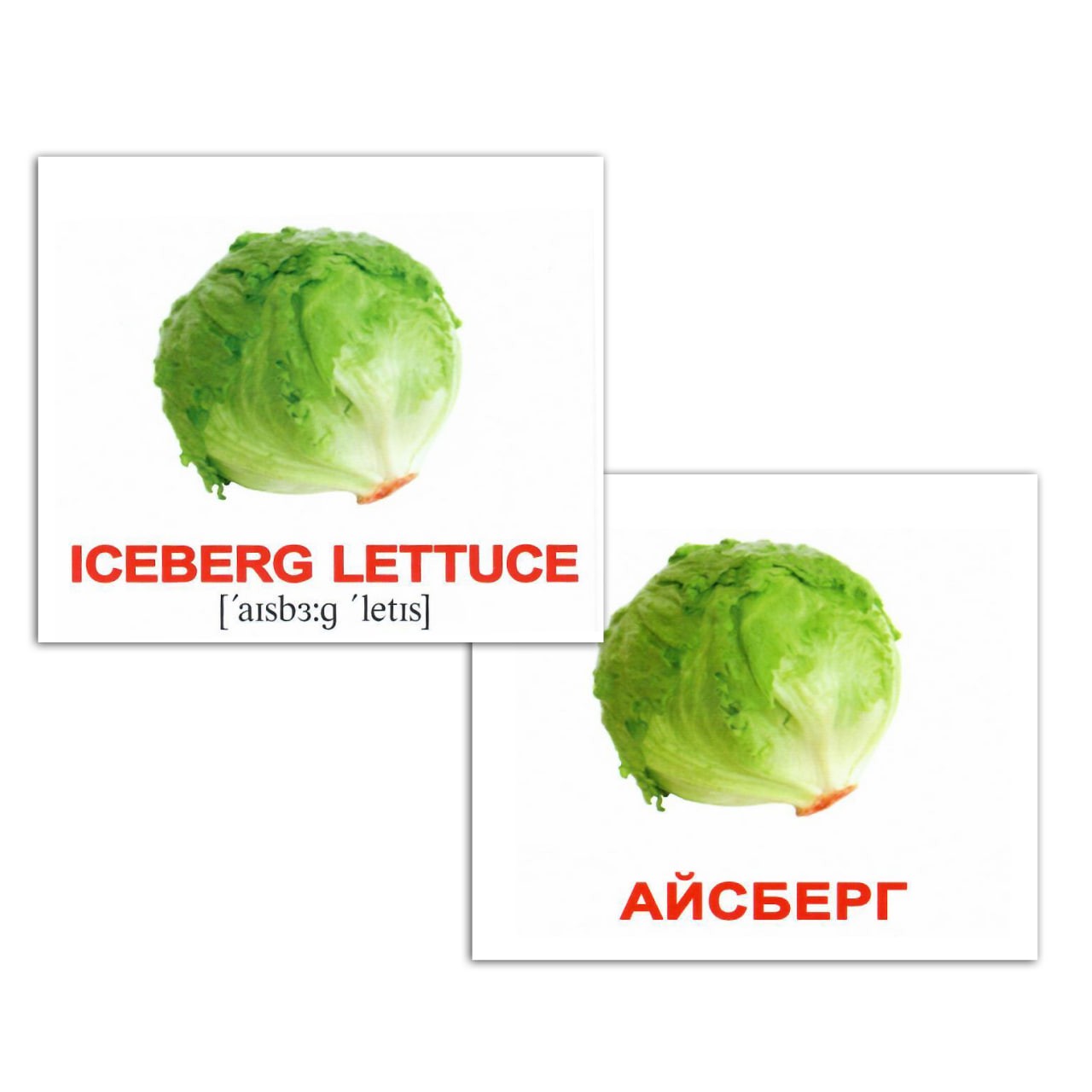 Карточки мини русско-английские "Овощи/Vegetables" 40 карт., в пак. 8*10см, ТМ Вундеркинд с пеленок, Украина