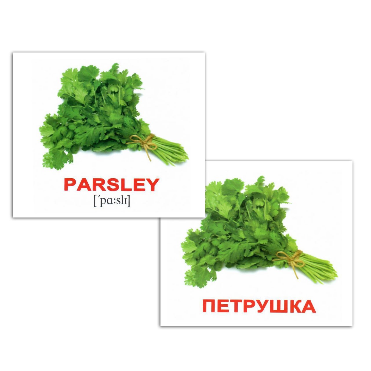 Карточки мини русско-английские "Овощи/Vegetables" 40 карт., в пак. 8*10см, ТМ Вундеркинд с пеленок, Украина