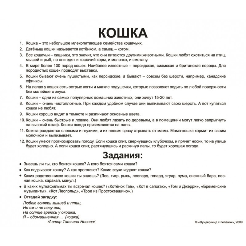 Карточки большие русские с фактами, ламинированные "Домашние животные", в пак. 19,5*16,5см, ТМ Вундеркинд с пеленок, Украина