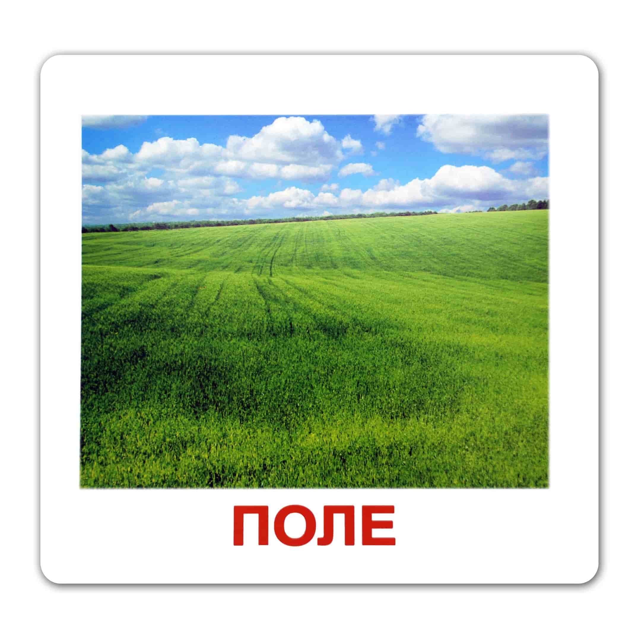 Карточки большие русские с фактами, ламинированные "Природа" 20шт, в пак. 16,5*19,5см, ТМ Вундеркинд с пеленок