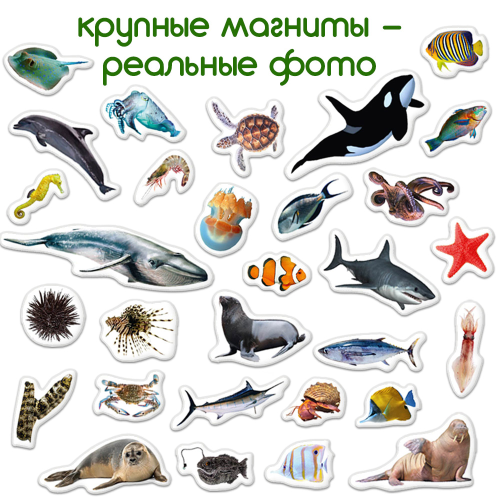 Набір магнітів "Sea photo", у кор.17*12*4см , Україна, Magdum