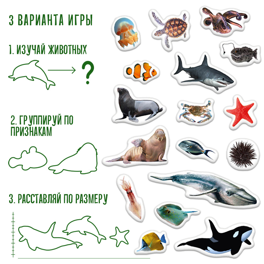 Набір магнітів "Sea photo", у кор.17*12*4см , Україна, Magdum