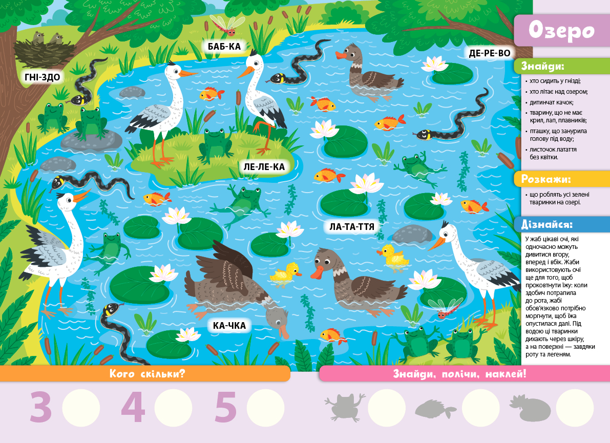 Книга Знайди! Прочитай! Полічи! Лісова родина 30*20см, Украина, ТМ УЛА