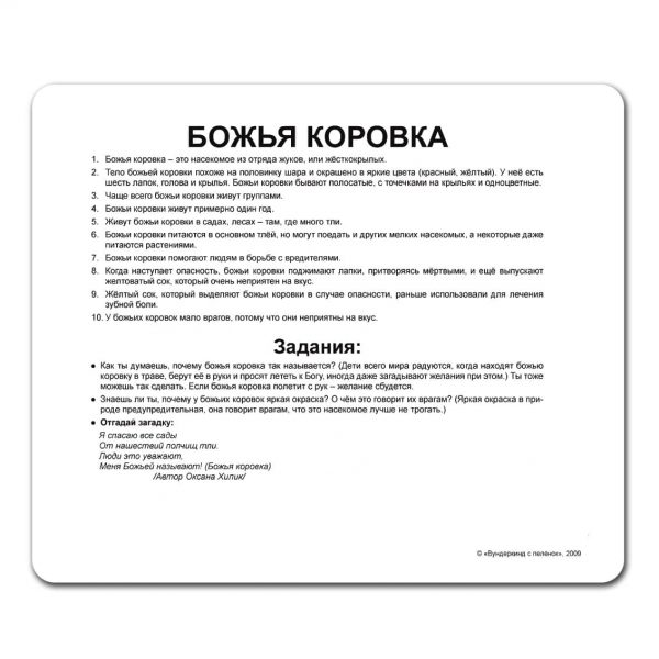 Карточки большие русские с фактами, ламинированные "Насекомые" 20шт, пак. 16,5*19,5см, ТМ Вундеркинд с пеленок, Украина