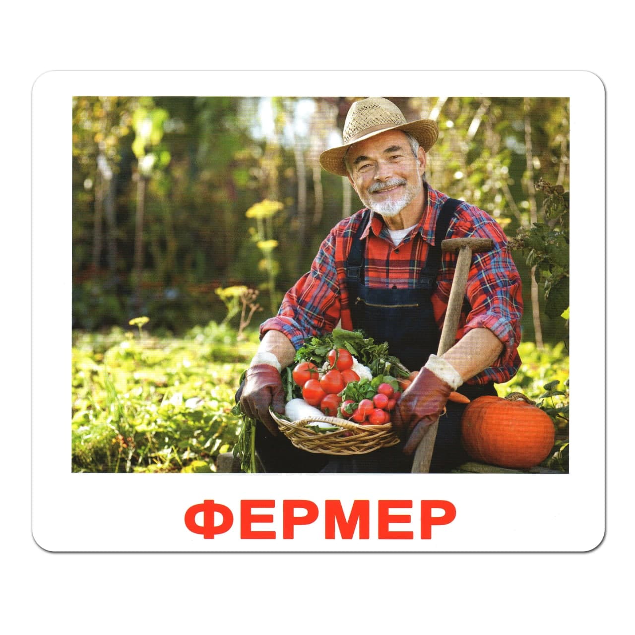 Карточки большие украинские с фактами, ламинированные "Професії" 20 карт., в пак. 16,5*19,5см, ТМ Вундеркинд с пеленок, Украина