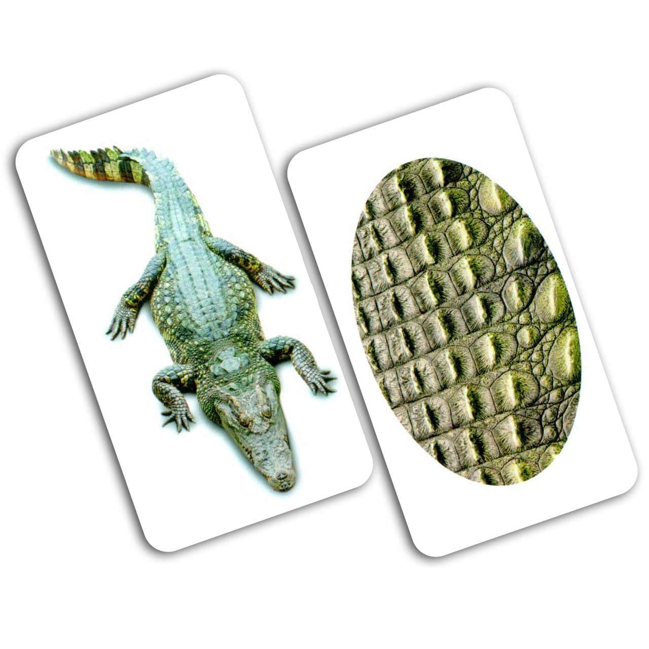 Карточки Игры-парочки "Животное и фрагмент" 15 пар карт., русская инструкция, в пак. 13*10см, ТМ Вундеркинд с пеленок, Украина