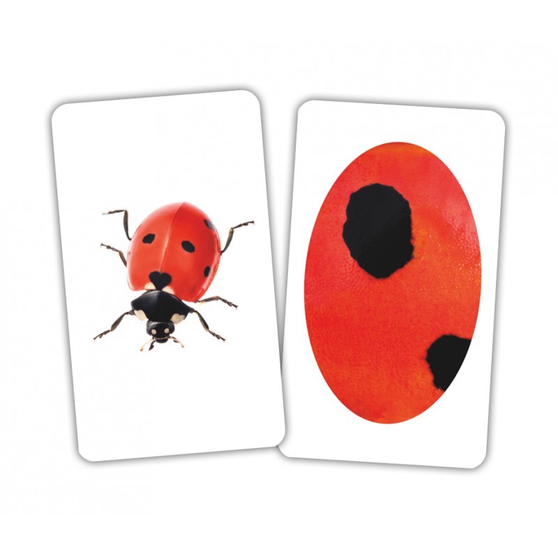 Карточки Игры-парочки "Животное и фрагмент" 15 пар карт., русская инструкция, в пак. 13*10см, ТМ Вундеркинд с пеленок, Украина