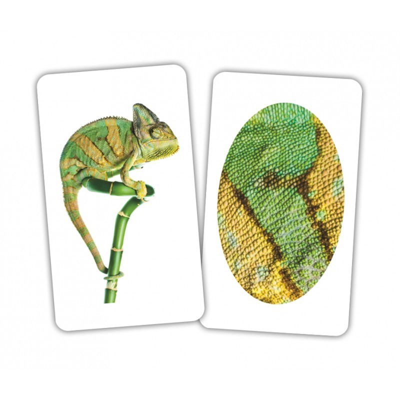 Карточки Игры-парочки "Животное и фрагмент" 15 пар карт., русская инструкция, в пак. 13*10см, ТМ Вундеркинд с пеленок, Украина