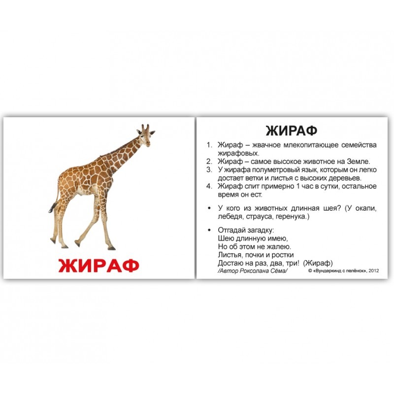Карточки мини русские с фактами "Дикие животные " 40 карт., в пак. 8*10см, ТМ Вундеркинд с пеленок, Украина