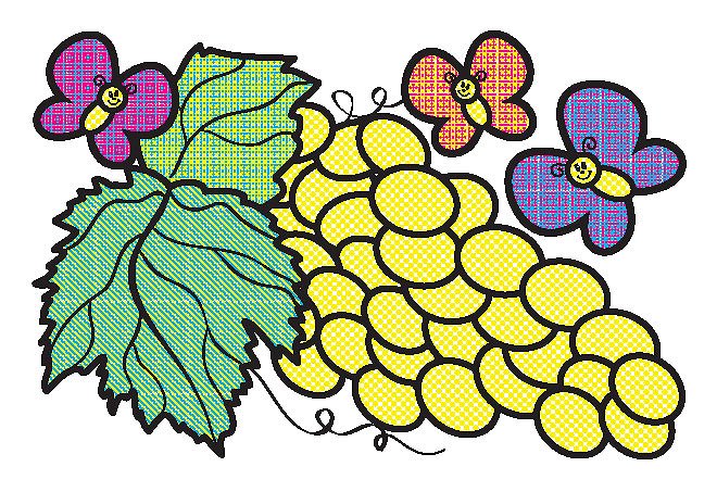 Раскраски водные:"Смачні ягідки" 23*16см, Украина, ТМ УЛА