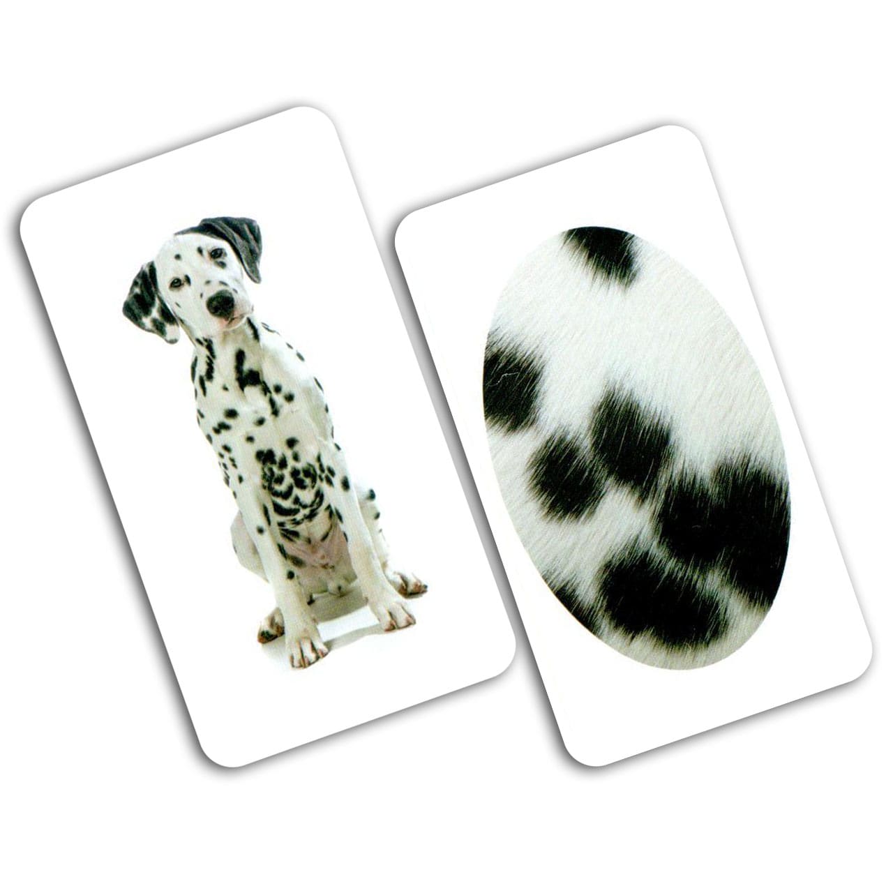 Карточки Игры-парочки "Тварина та фрагмент" 15 пар карт., украинская инструкция, в пак. 13*10см, ТМ Вундеркинд с пеленок, Украина