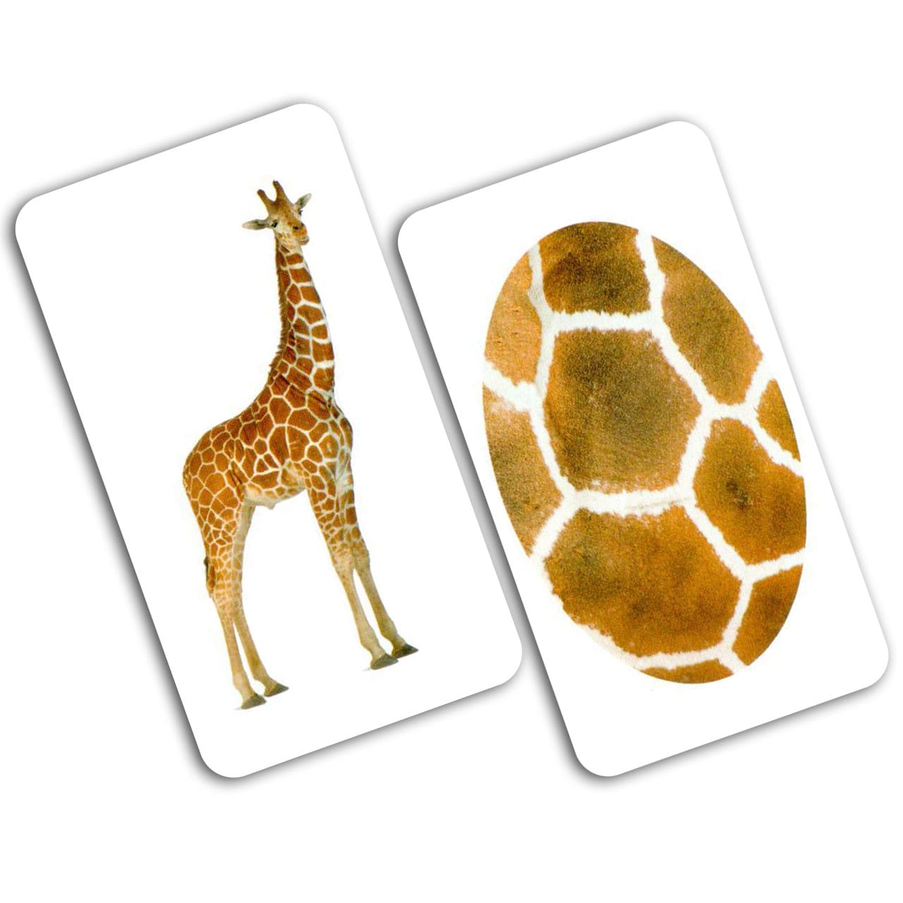 Карточки Игры-парочки "Тварина та фрагмент" 15 пар карт., украинская инструкция, в пак. 13*10см, ТМ Вундеркинд с пеленок, Украина