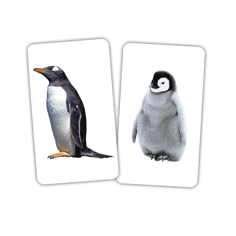 Карточки Игры-парочки "Тварини та дитинчата" 15 пар карт., украинская инструкция, в пак. 13*10см, ТМ Вундеркинд с пеленок, Украина