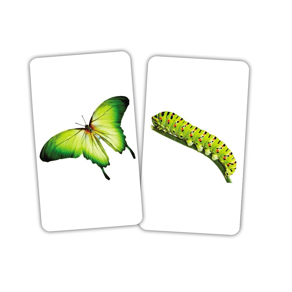 Карточки Игры-парочки "Тварини та дитинчата" 15 пар карт., украинская инструкция, в пак. 13*10см, ТМ Вундеркинд с пеленок, Украина