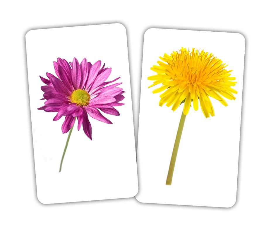 Карточки Игры-парочки "Парочки за темами" 15 пар карт., украинская инструкция, пак. 13*10см, ТМ Вундеркинд с пеленок, Украина