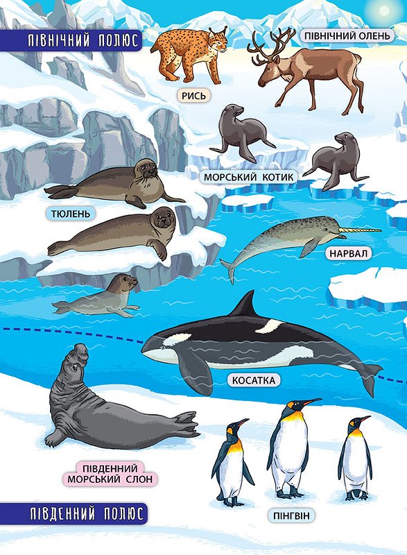 Книга "Енциклопедія з наліпками.Тварини світу.", 21*29см, Украина, ТМ УЛА